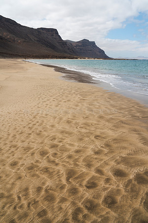 "Leopard Beach" - Curiosidades de la naturaleza en la Playa de b