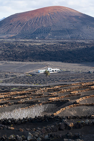 Finca entre volcanes - La Geria, Tías.