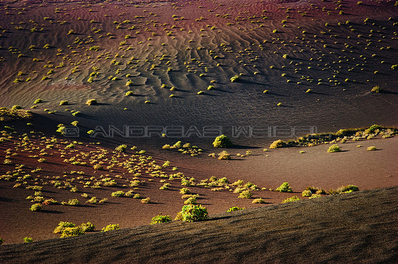 Colores del volcán - Timanfaya, Lanzarote