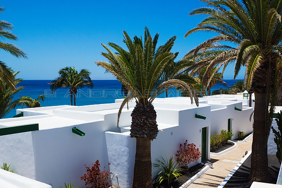 Casitas blancas con palmeras - Puerto del Carmen, Lanzarote