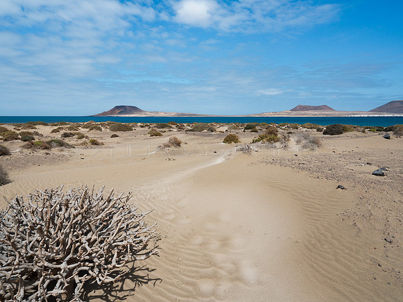 Huellas en las dunas (con vistas a la Graciosa)