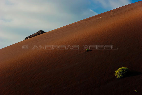 El comienzo de la vida en Timanfaya - Lanzarote